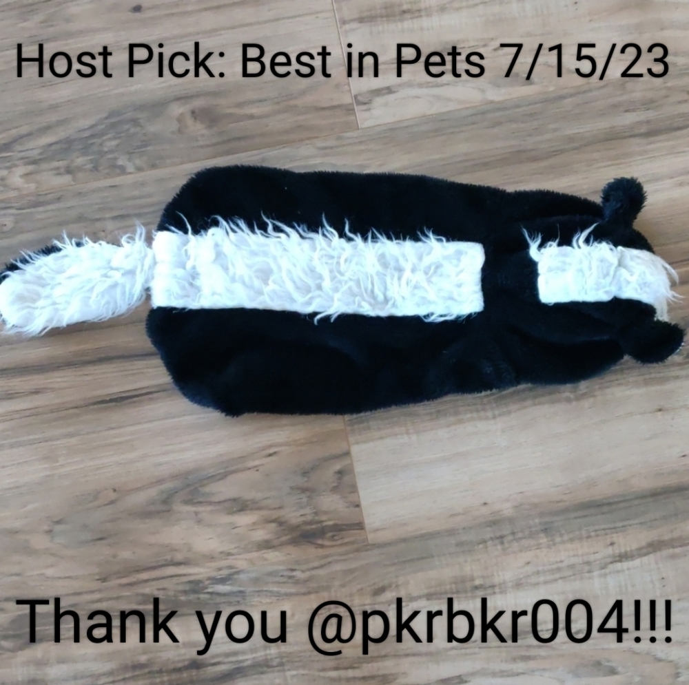 🎉2X Host Pick🎉 EUC Pet skunk costume